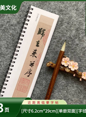 赵孟归去来兮辞并序原帖行书毛笔书法字帖近距离字卡