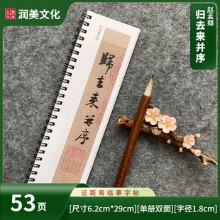 赵孟归去来兮辞并序原帖行书毛笔书法字帖近距离字卡