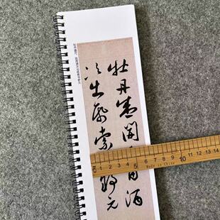 明 祝允明行草牡丹赋对临近距离临摹字帖卡
