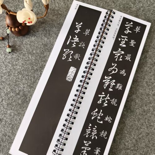 王羲之草诀百韵歌草书古帖书法毛笔近距离对临字帖单册87页