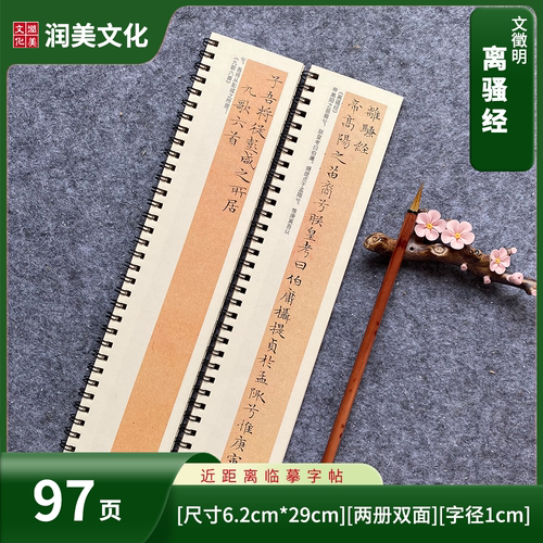 文征明离骚经小楷毛笔楷书字帖书法字帖 近距离对临字帖