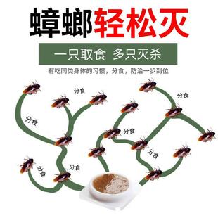 家用贴厨房端神器克星室内蟑强力灭杀蟑螂毒胶饵盒剂 除蟑螂药正品