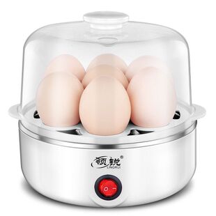 boiler跨境110V 多功能煮蛋器單層蒸蛋器電器煮雞蛋家用egg
