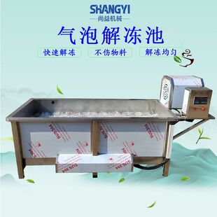 冻盘气泡解冻池商用气浪化冻槽冻品恒温槽小型机冻品解冻设备