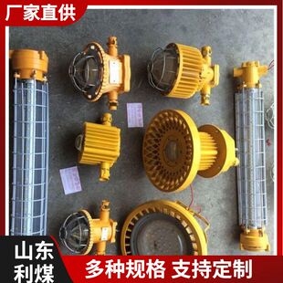 28W巷道灯厂家供应DGS28 本安型照明灯 127L矿用隔爆型LED巷道灯