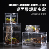 爬虫亚克力爬宠箱小型饲养盒蜘蛛蜥蜴蝎甲虫造景饲养箱高透观赏盒