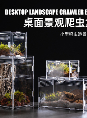爬虫亚克力爬宠箱小型饲养盒蜘蛛蜥蜴蝎甲虫造景饲养箱高透观赏盒