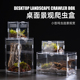 爬虫亚克力爬宠箱小型饲养盒蜘蛛蜥蜴蝎甲虫造景饲养箱高透观赏盒