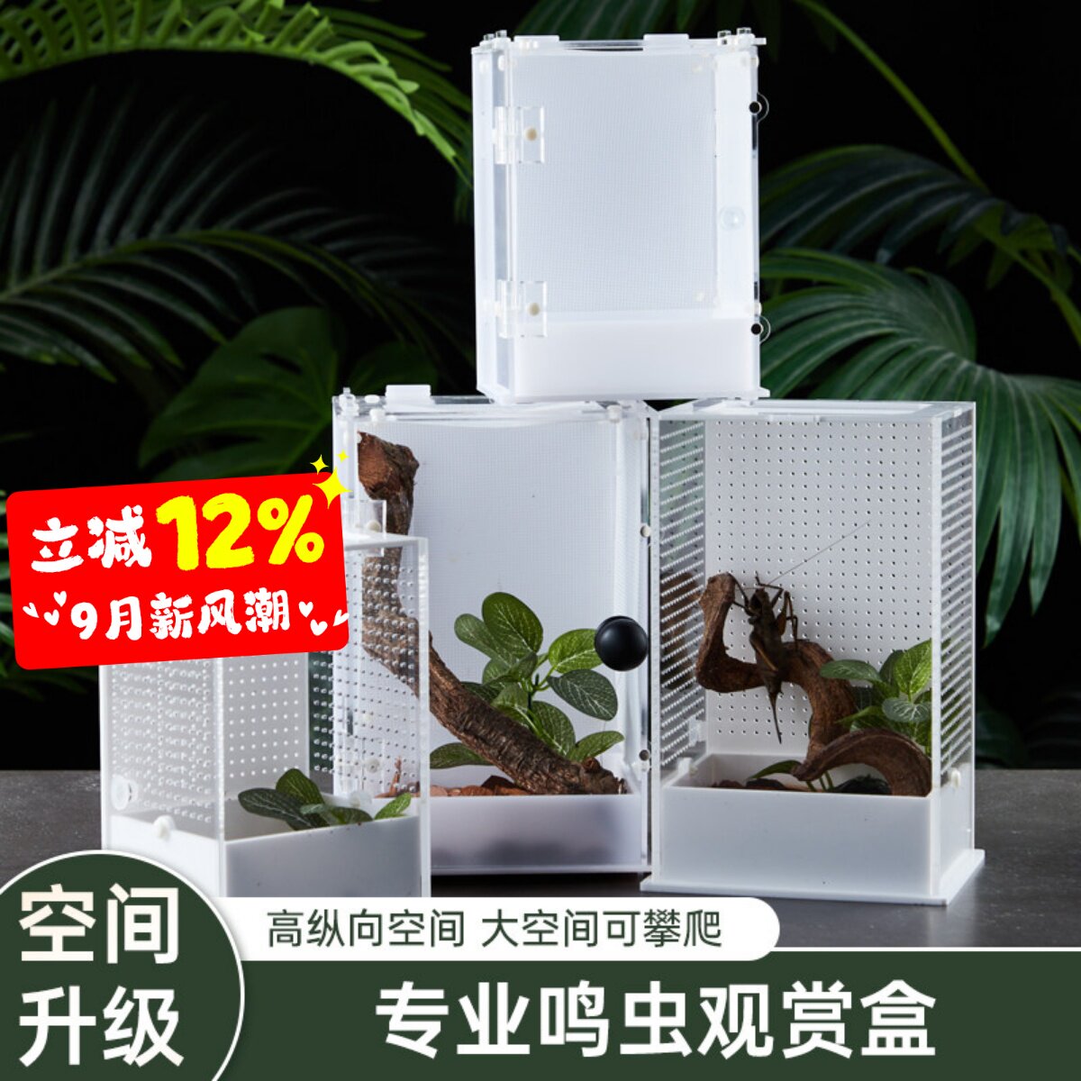 宠维奥高款鸣虫盒升级空间图片