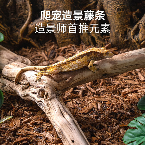 宠维奥爬宠箱造景增加活动空间