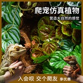 饰 爬虫箱造景高仿真植物水陆生态缸陆龟蜥蜴守宫假植物摆件盆景装