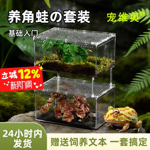 宠维奥角蛙饲养盒套装桌面爬宠缸