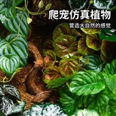 爬虫箱造景高仿真植物水陆生态缸陆龟蜥蜴守宫假植物摆件盆景装 饰