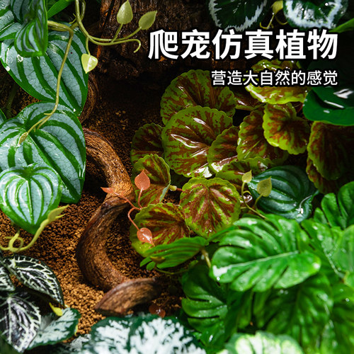 爬宠造景仿真植物爬虫饲养箱装饰