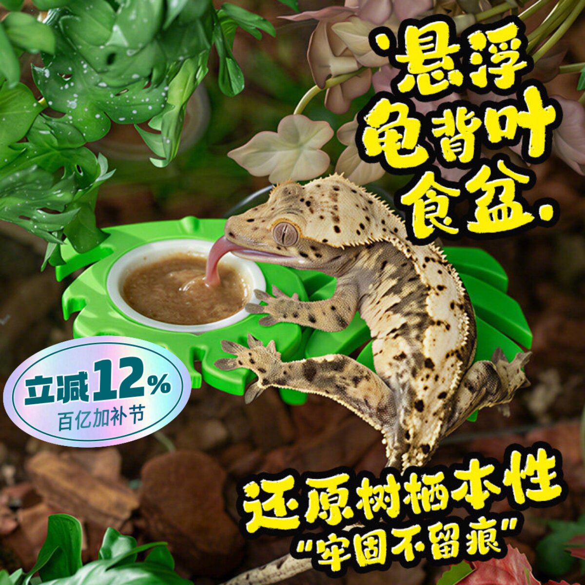 树栖睫角守宫专用龟背叶悬浮磁吸食碗果泥食盆吸盘式造景攀爬两用