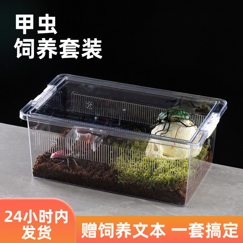 甲虫成虫饲养盒套装独角仙锹甲专业爬虫箱造景兜虫盒子幼虫产房