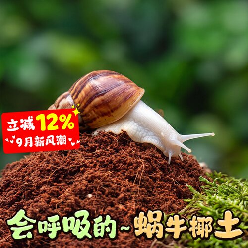 宠维奥宠物蜗牛椰土垫材保湿透气