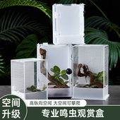 高款 鸣虫生态饲养盒造景别墅鸣虫盒昆虫盒跳蛛蝈蝈螳螂观赏饲养盒