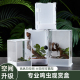 高款 鸣虫生态饲养盒造景别墅鸣虫盒昆虫盒跳蛛蝈蝈螳螂观赏饲养盒