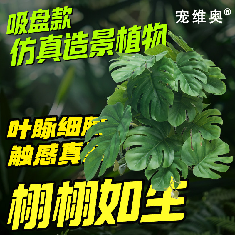 爬宠仿真热带雨林植物睫角陆龟守宫角蛙饲养盒爬宠缸树叶造景装饰