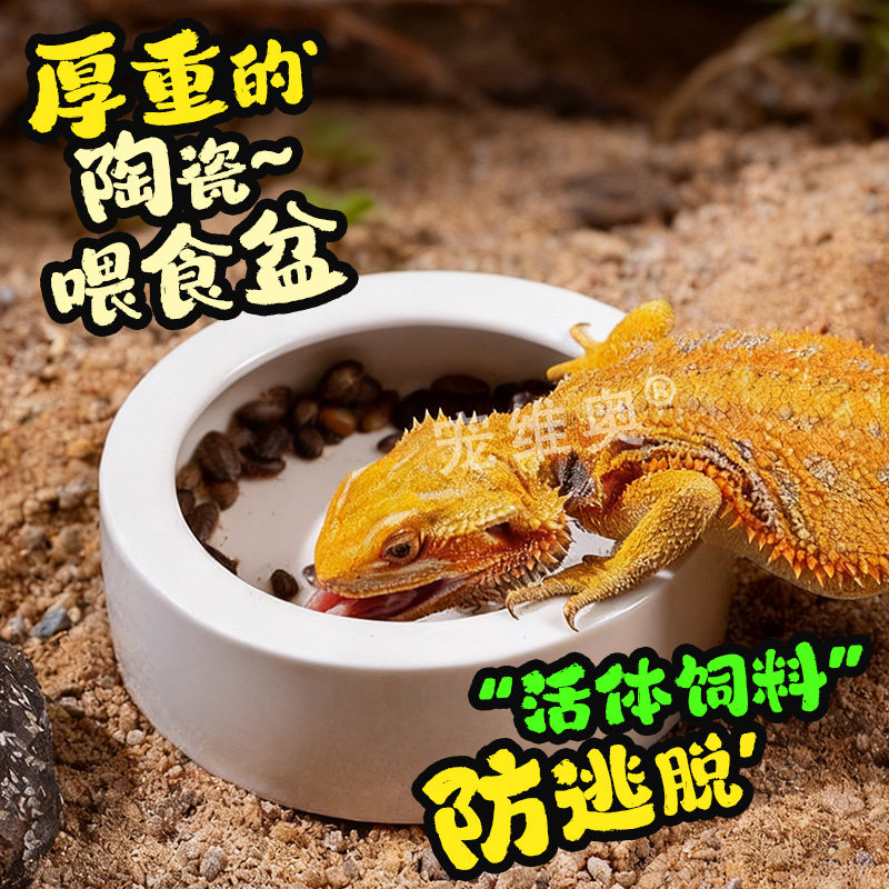 爬宠箱角蛙蜘蛛守宫防逃逸陶瓷食盆防面包虫蟋蟀杜比亚活体饲料盆,宠物/宠物食品及用品,爬宠清洁及日用品,淘宝优惠券,粉丝福利购,淘宝优惠卷