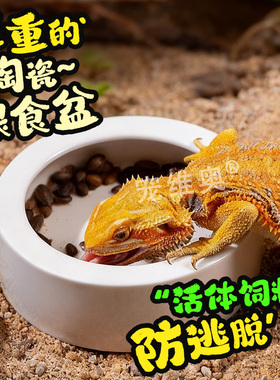 爬宠箱角蛙蜘蛛守宫防逃逸陶瓷食盆防面包虫蟋蟀杜比亚活体饲料盆