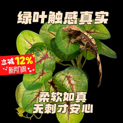 爬宠仿真热带雨林植物造景装饰