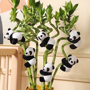 自行车毛绒玩偶公仔熊猫夹子可爱小浣熊挂件家居转运竹装饰玩偶