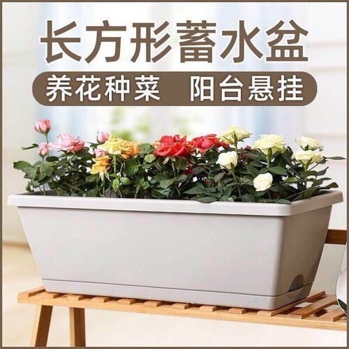 霍伦种菜盆长方形花盆种菜专用盆 种菜盆特大号室内蔬菜长条花盆