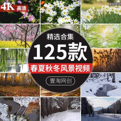 。春夏秋冬天气季节四季变化更替春暖花开枫叶雪景LED背景视频素