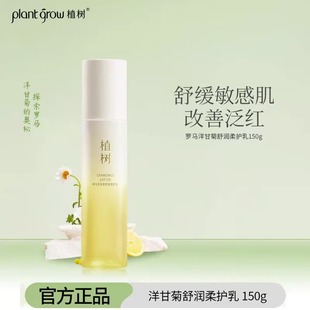 植树洋甘菊舒缓柔护乳液补水保湿滋润修护屏障泛红敏感肌专用护肤