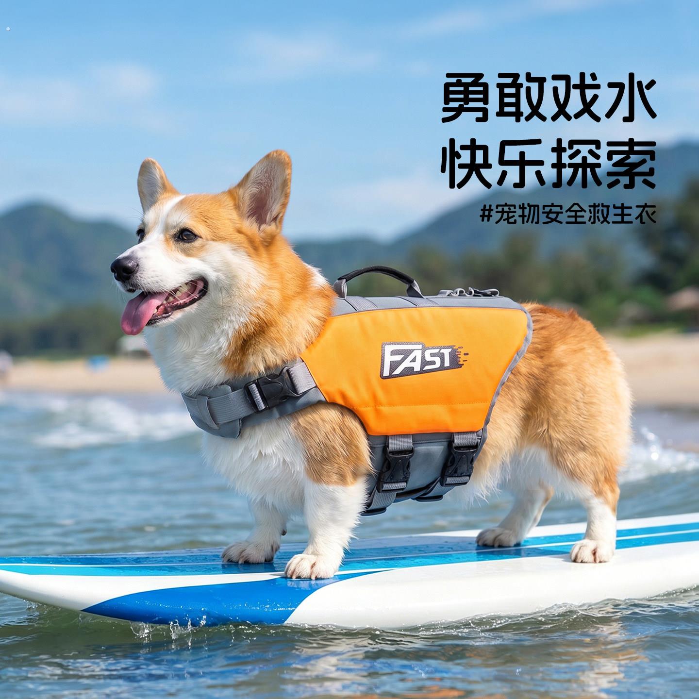 狗狗救生衣夏季游泳衣可调节透气安全宠物柯基中型犬户外运动泳衣