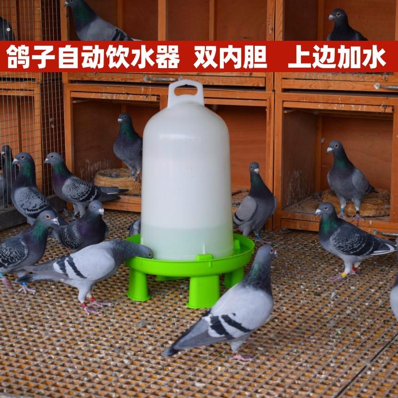 加厚鸽子水壶饮水器自动喂水器赛鸽鸟用喝水壶信鸽用具防撒透明壶