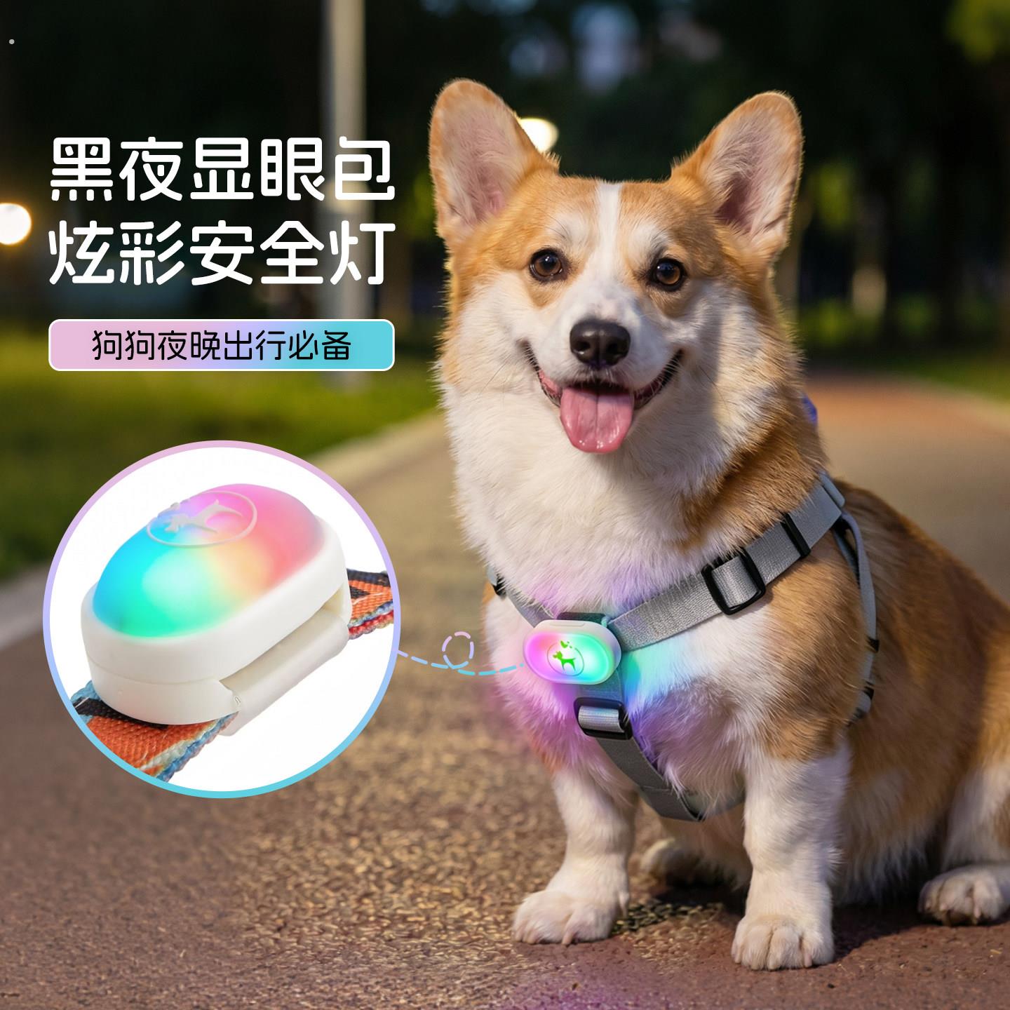 宠物狗狗夜灯夜间防丢遛狗灯发光防水夜晚可充电脖圈柯基遛狗神器
