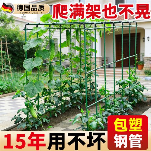 黄瓜爬藤架豆角架杆搭棚子支架种菜丝瓜西瓜撑杆葡萄架子庭院户外