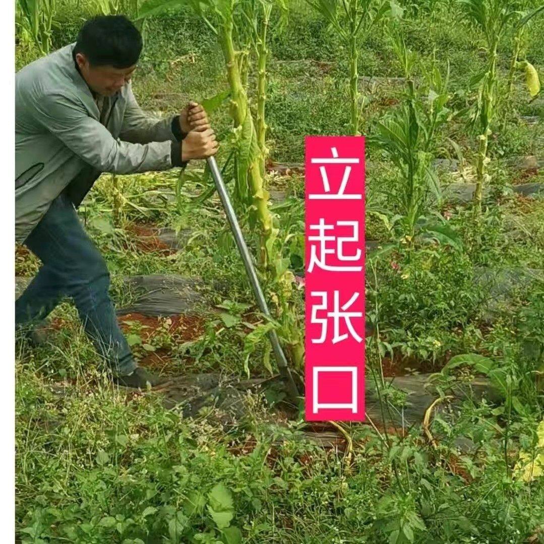 新款拔杆神器葵花杆玉米