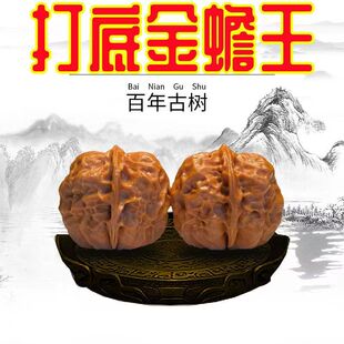 云南铁核桃野生天然特级文玩云铁精品配对机刷打底元宝金蟾蛤蟆头