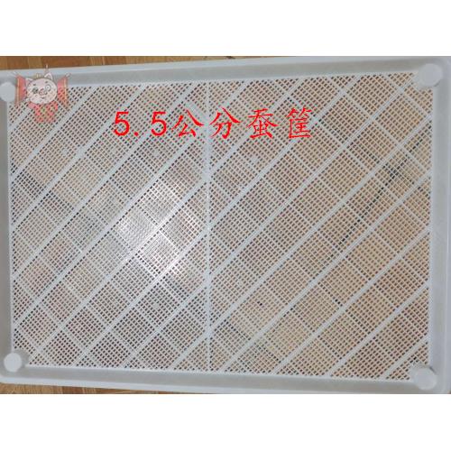 养蚕盘5.5公分用用品塑料