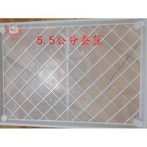 养蚕盘5.5公分用用品塑料