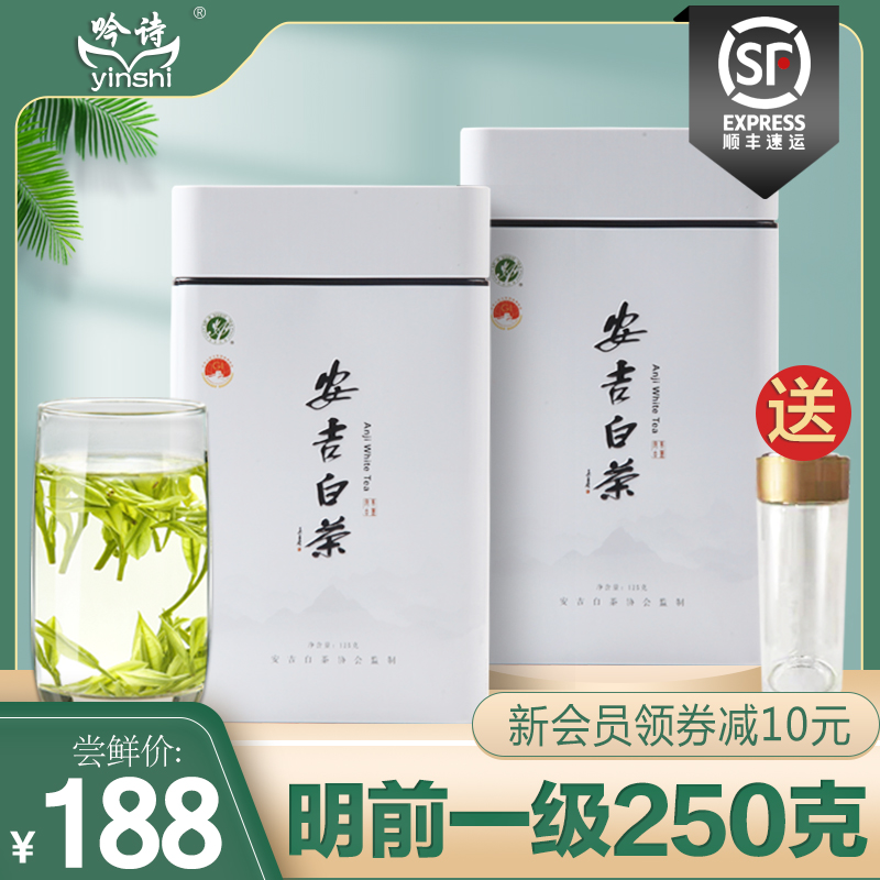 安吉白茶2022新茶叶250g明前一级正宗原产绿茶罐装春茶送礼包邮