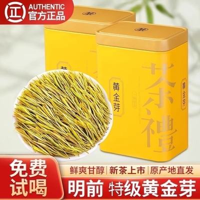 2025新茶特级黄金芽茶叶黄金芽茶