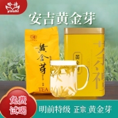2025年新茶一级黄金芽白茶安吉黄芽口粮送人送礼盒装 安吉原产地
