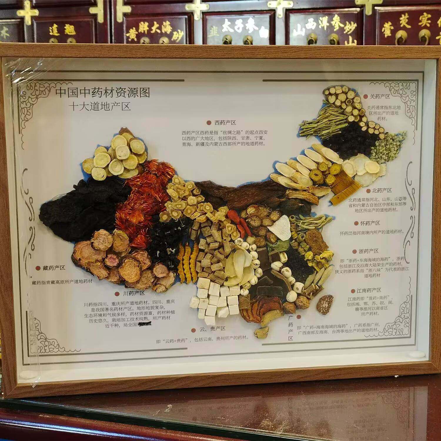 新款中药标本中国道地药材分布地图相框标本独立装饰画展示中医院