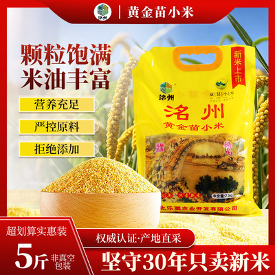 河北特产黄小米营养丰富煮粥