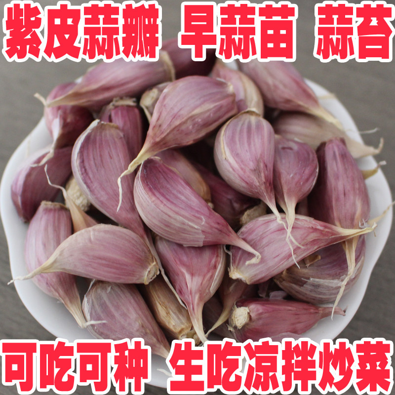 江西紫皮蒜瓣蒜头紫色蒜苔新鲜大蒜籽头红皮川蒜硬叶寒苔蒜老品种