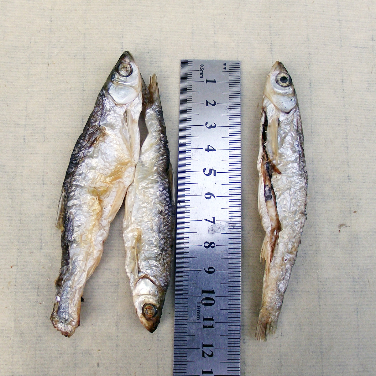 江西赣南上犹小鱼仔特产火焙山坑小鱼干白条鱼淡水鱼干无盐去肚