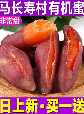广西小蜜薯3/5/9斤新鲜沙地西瓜
