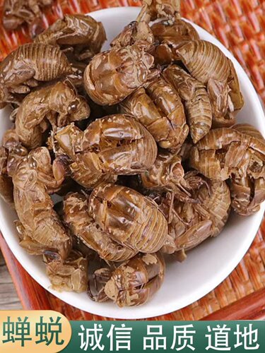 中药材无硫蝉蜕蝉衣蝉壳知了