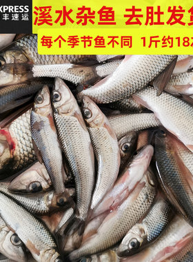 江西鱼仔新鲜小鱼小杂鱼山坑小溪