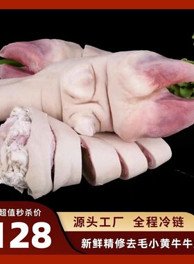 牛蹄子整只10斤新鲜牛脚蹄去毛精